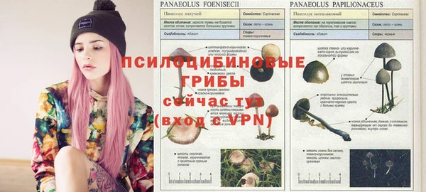 ГАЛЛЮЦИНОГЕННЫЕ ГРИБЫ Бронницы