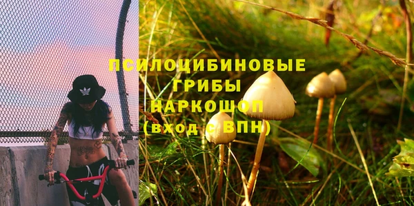 круглые Бородино